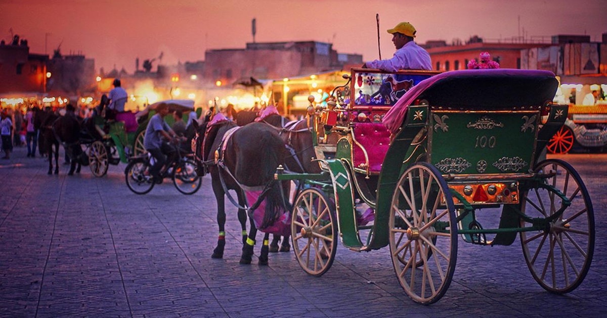 Private walking tour of Marrakech with a local guide