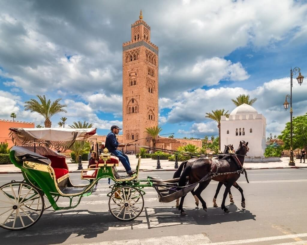 tour guide in marrakech by mohamed